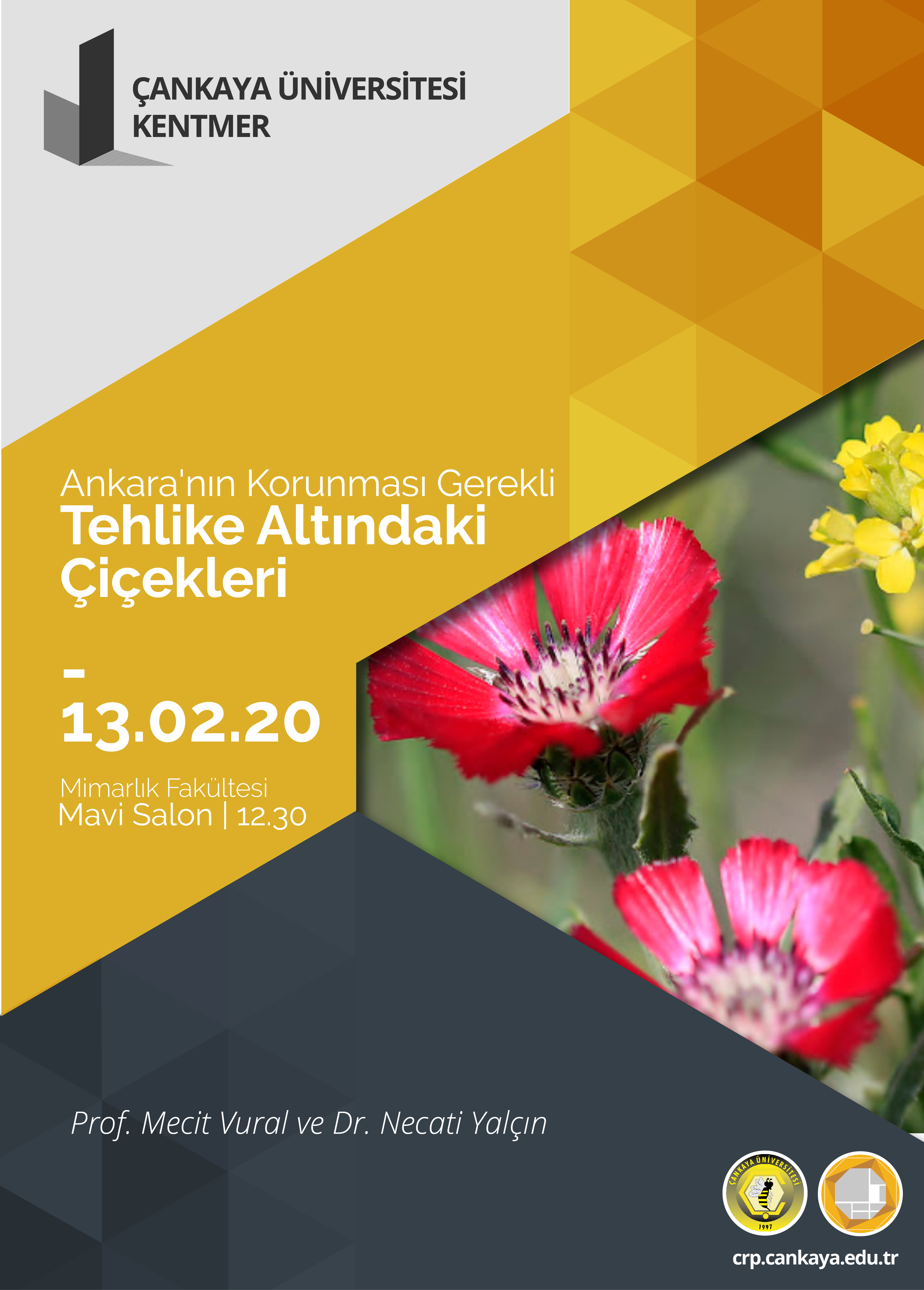 Kentmer – Ankara’nın Tehlike Altındaki Çiçekleri